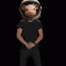 a pig wearing a helmet is standing in front of a fire and says do it