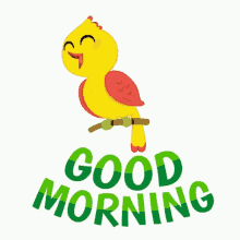 Good Morning Birdie Cute GIF - Good Morning Birdie Bird Cute GIFs
