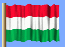 a red white and green flag with a wooden pole