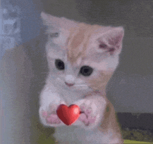 a kitten is holding a heart in its paws .