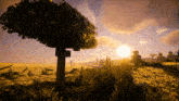 a sunset with a tree in the foreground and the sun shining through the clouds
