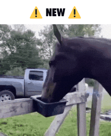 a horse is drinking from a plastic container with a warning sign above it