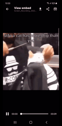 Cat Meme GIF - Cat Meme Drip GIFs