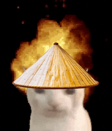Straw Hat Cat Cat Explode GIF