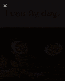 a picture of a girl with yellow eyes and the words " i can fly day " on the bottom