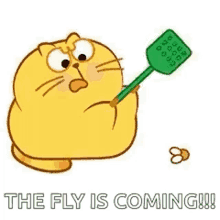 Fly Bug GIF - Fly Bug Flying GIFs