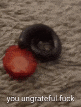 a picture of a snake and a strawberry with the words you ungrateful fuck below it .