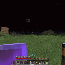 a screenshot of a minecraft game with a character named liries standing in the grass