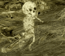 Dark Souls Skeleton GIF - Dark Souls Skeleton Running GIFs