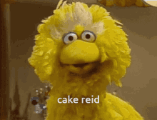 reid cake