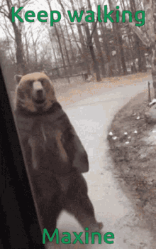 Bears Walk GIF
