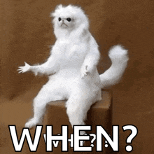 a white cat is sitting on a box with the word when written on it .