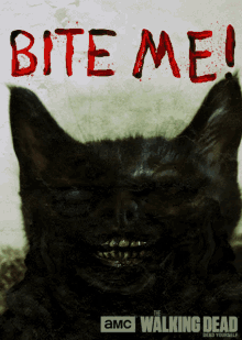 Zombie Zomg Cat GIF - Zombie Zomg Cat Bite Me GIFs