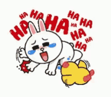 Haha Bunny GIF - Haha Bunny Animated GIFs
