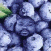Don Pollo Don Pollo Blueberry GIF