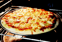 pizza pizza in oven pizza day food