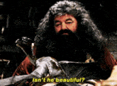 Hagrid Beautiful GIF - Hagrid Beautiful GIFs