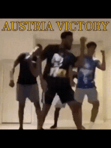 Austria Victory GIF - Austria Victory Austria_victory GIFs