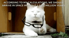 Funny Cat GIF - Funny Cat Nerd GIFs