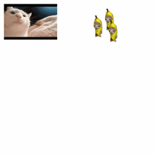 Banana Cat Running Vibing Cat GIF - Banana Cat Running Vibing Cat GIFs
