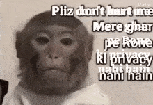 a monkey is wearing a white shirt and holding a piece of paper with a quote on it .