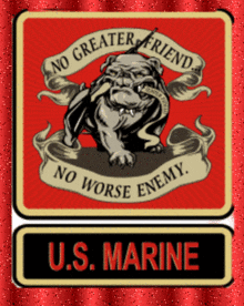 Usmc Marines GIF