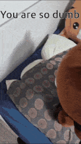 a stuffed animal is laying on a bed with the words " you are so dumb " written above it
