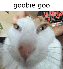 Goobie Goo GIF - Goobie Goo GIFs