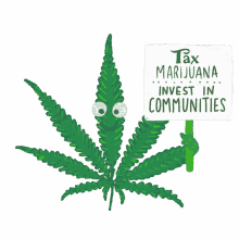tax marijuana invest in communities 420 four twenty weed