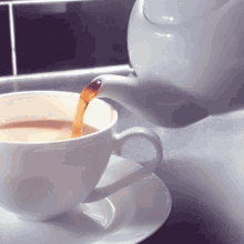Hot Teapot GIF - Hot Teapot Scalding GIFs