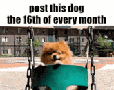 Monthly Dog GIF - Monthly Dog Essica GIFs