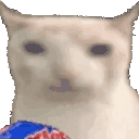 cat.gif