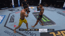two fighters are fighting in a ufc ring with a monster energy drink advertisement in the background