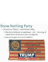a poster for the know nothing party with a flag