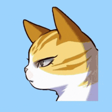 a close up of a cat 's face with a blue sky in the background
