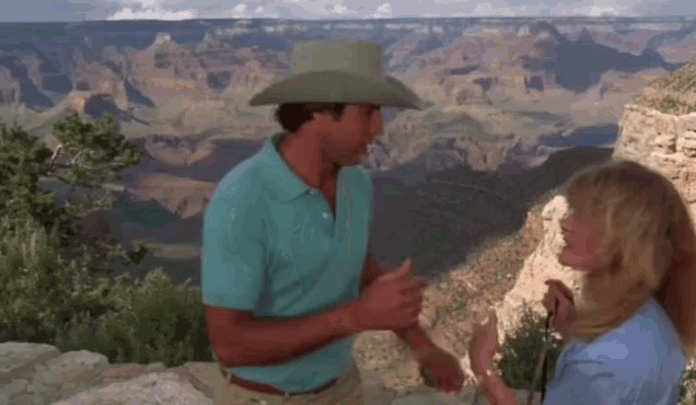 Clark Griswold Grand Canyon GIFs | Tenor