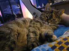 a cat laying on someone 's lap with a purple light in the background