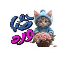 a kitten wearing a blue hat holds a basket of roses
