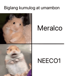 Neeco1 GIF - Neeco1 Neeco GIFs