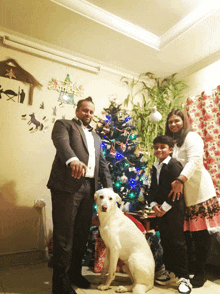 Merry Christmas And Happy New Year 2024 GIF