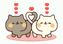 Kittys Tails Into A Heart GIF - Kittys Tails Into A Heart So Cute GIFs