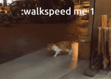 a cat is walking down a sidewalk with the words walkspeed me 1 behind it