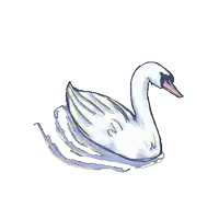 a drawing of a swan with its wings outstretched on a white background