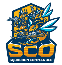 team sco squad commander guns