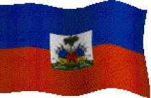 Haiti Flag GIF - Haiti Flag GIFs