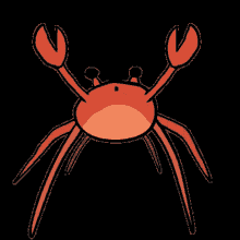 Crab Rave GIF