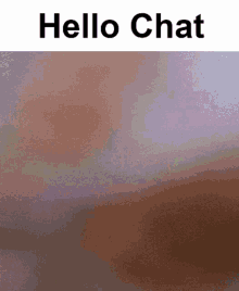 Hello Chat Bnuy GIF