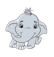lili elephant