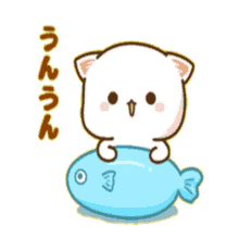 peach and goma peachcat cute adorable fish peach and goma peachcat cute adorable fish