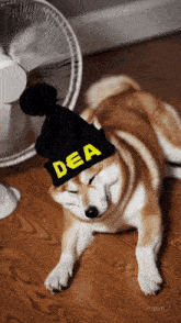 a dog wearing a black hat that says dea on it